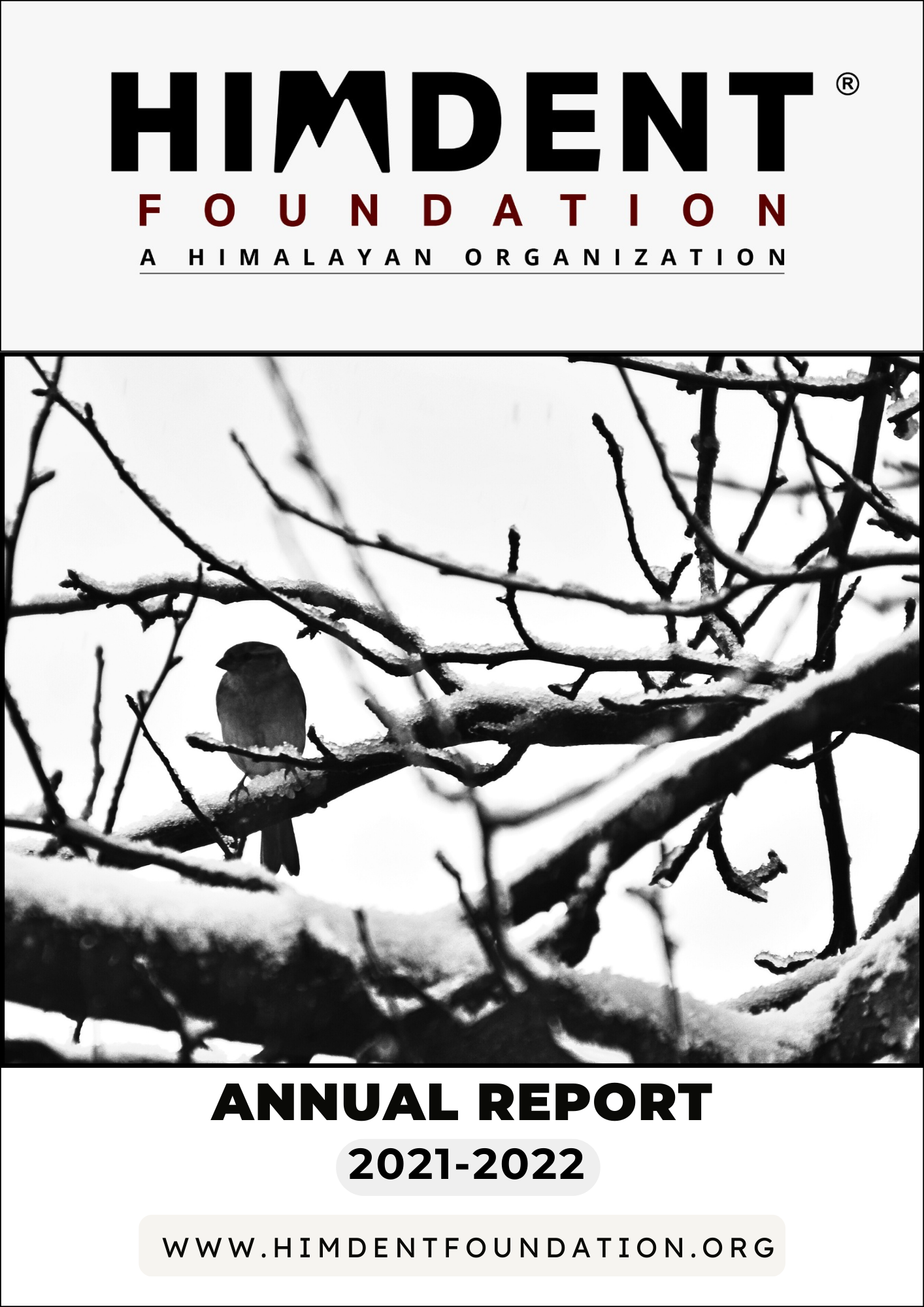 Minimalist annual report